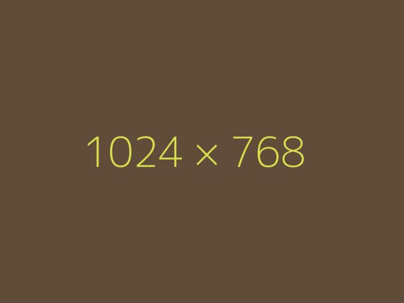 1024x768 Dummy Image. Brown with yellow text.